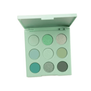 Colour pop pressed powder eyeshadow palette (Mint to be)