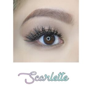 AOA Studio Eyelashes - Scarlette 6-Pack