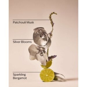 Bath & Body Works Fine Fragrance Mist – Platinum 236mL