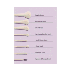 Sheglam Pro Core Brush Kit (1)